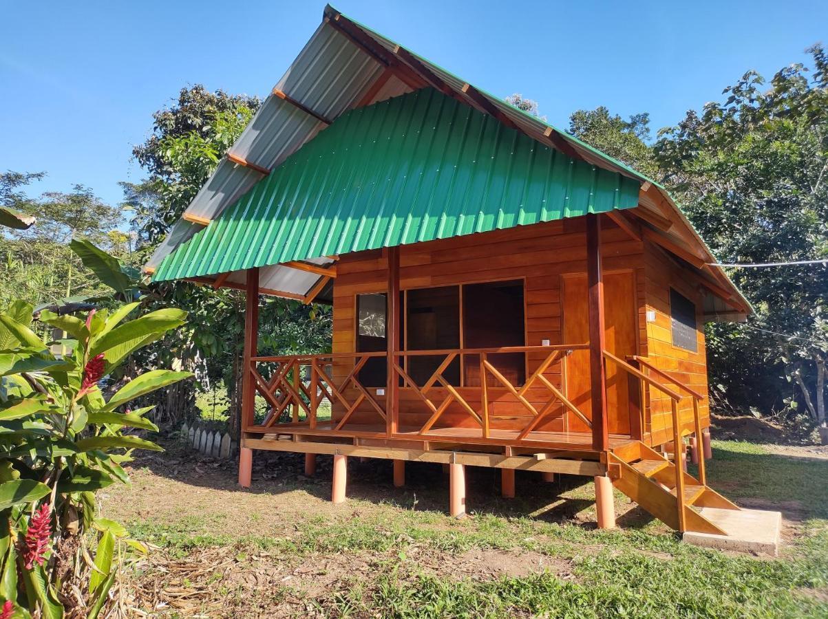 Quirquincho House Lodge Puerto Maldonado Dış mekan fotoğraf