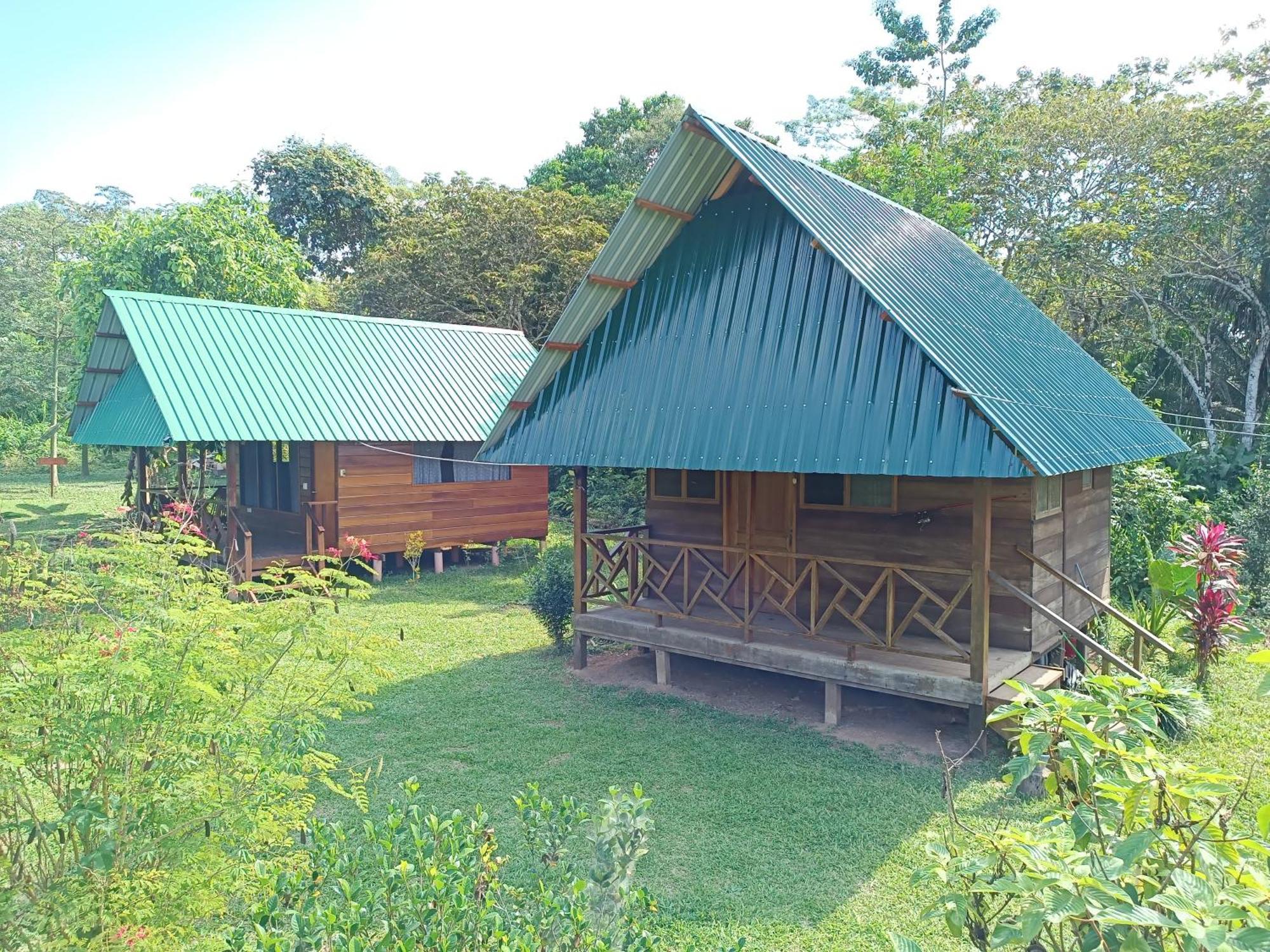 Quirquincho House Lodge Puerto Maldonado Dış mekan fotoğraf