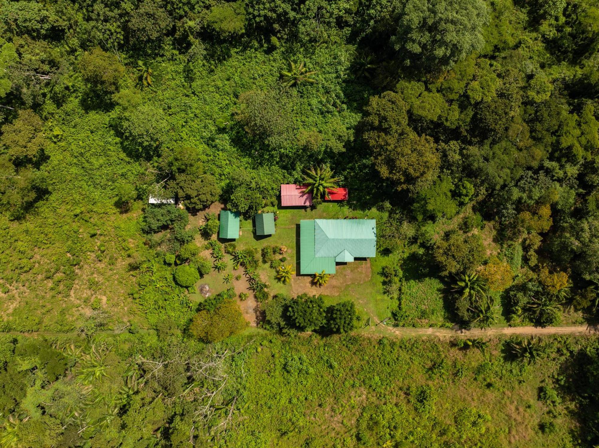 Quirquincho House Lodge Puerto Maldonado Dış mekan fotoğraf